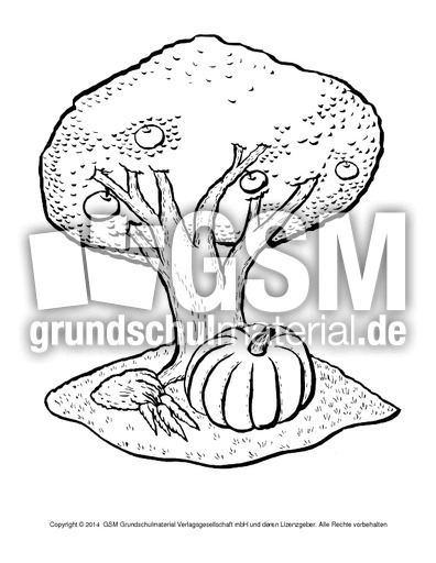 Ausmalbilder-Apfel-B 7.pdf